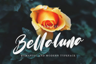 Bellaluna: A Dynamic Handwritten Font for Urban Branding