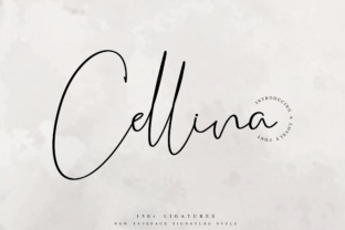 Cellina: A Bold Script Font for Editorial Design