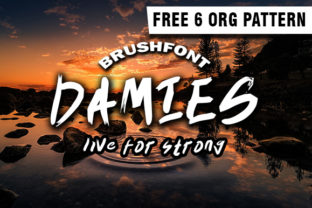 Damies: A Bold Handwritten Font for Campaigns