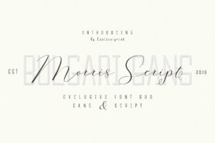 Morris Duo: A Bold Typeface for Modern Web Design