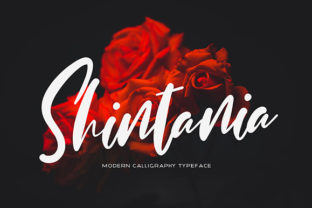 Shintania: A Romantic Script Font for Branding
