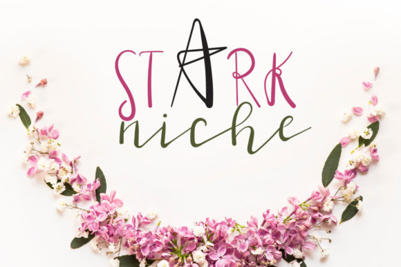 Stark Niche: A Playful Font for Small Business Branding