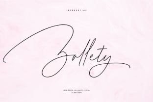 Zallety Signature: A Designer's Real-World Review